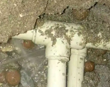 禹王台测漏水多少钱