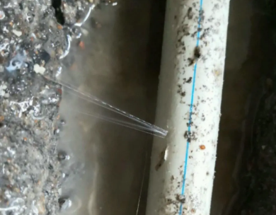 禹王台测漏水哪家好